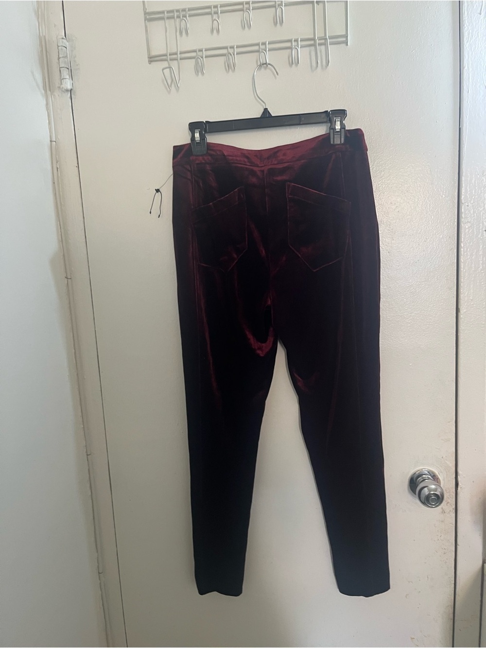 Laundry By Shelli Segal Burgundy Velvet Straight Leg Pants - Picture 2 of 6